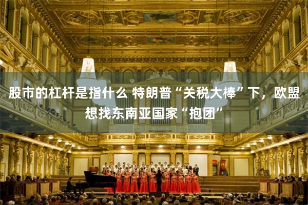 股市的杠杆是指什么 特朗普“关税大棒”下，欧盟想找东南亚国家“抱团”