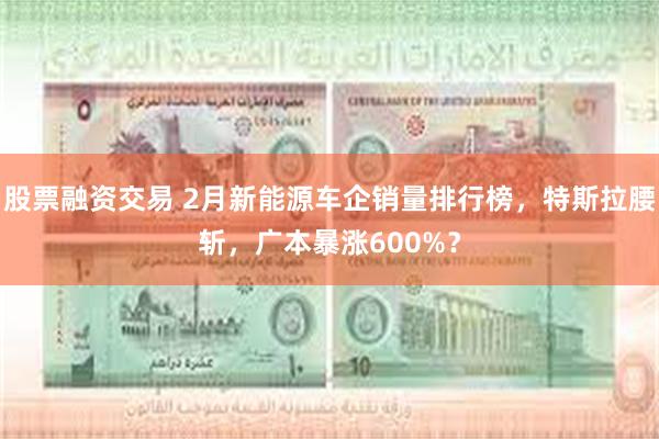 股票融资交易 2月新能源车企销量排行榜，特斯拉腰斩，广本暴涨600%？