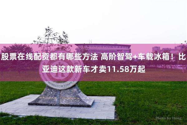 股票在线配资都有哪些方法 高阶智驾+车载冰箱！比亚迪这款新车才卖11.58万起