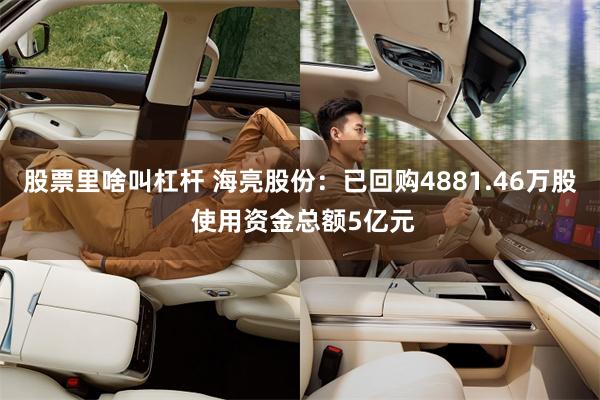 股票里啥叫杠杆 海亮股份：已回购4881.46万股 使用资金总额5亿元