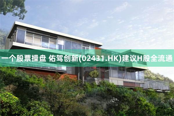 一个股票操盘 佑驾创新(02431.HK)建议H股全流通