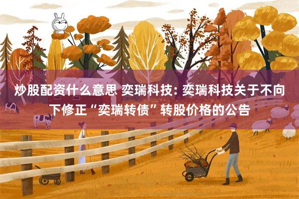 炒股配资什么意思 奕瑞科技: 奕瑞科技关于不向下修正“奕瑞转债”转股价格的公告