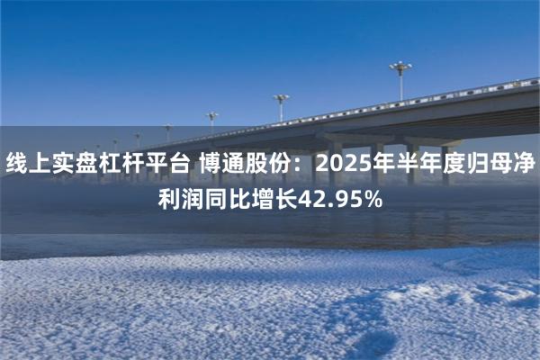 线上实盘杠杆平台 博通股份：2025年半年度归母净利润同比增长42.95%