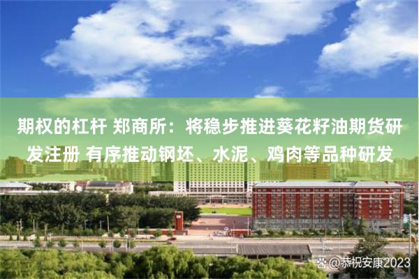 期权的杠杆 郑商所：将稳步推进葵花籽油期货研发注册 有序推动钢坯、水泥、鸡肉等品种研发